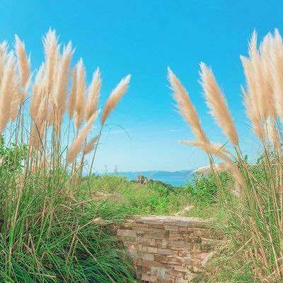 ag娱乐平台游戏中心下载手机版