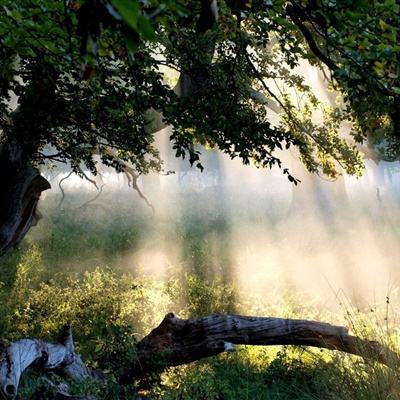 亚虎娱乐下载手机版