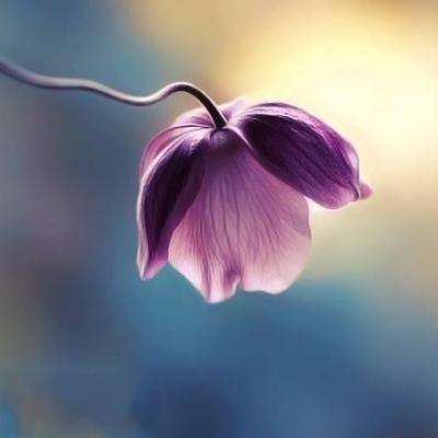 狗万官网手机app下载