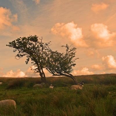 bob体育下载链接