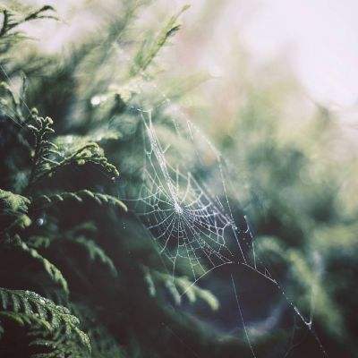 亚新下载手机版