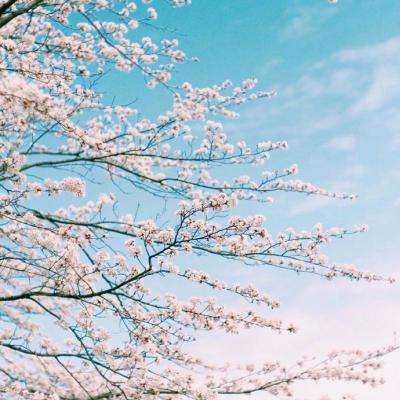 亚博BOB体育下载