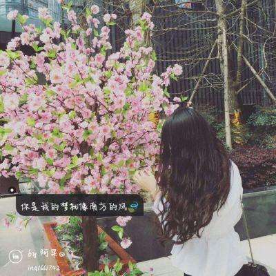 半岛网页版app下载